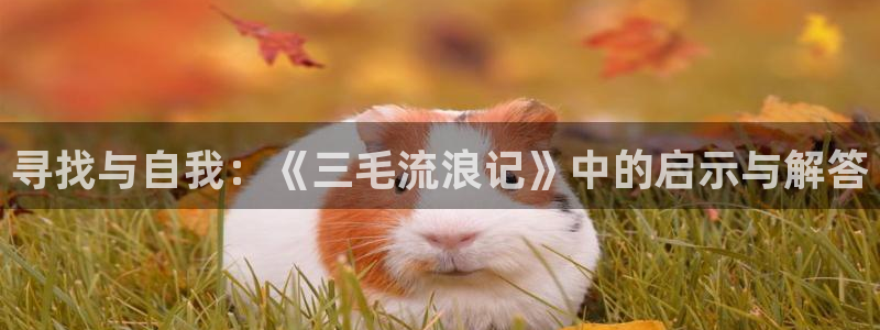 羞羞漫画网站入口免费