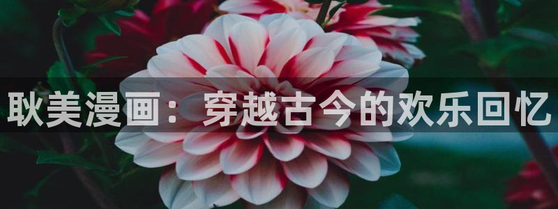 羞羞漫画8888：耿美漫画：穿越古今的欢乐回忆