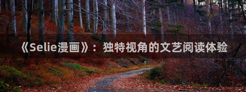 歪歪漫画羞羞漫画嘿咻漫画：《Selie漫画》：独特视角的文艺阅读体验