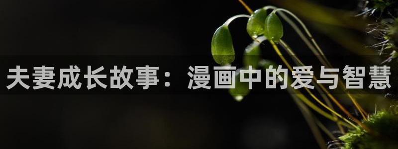 羞羞漫画站点标题：夫妻成长故事：漫画中的爱与智慧