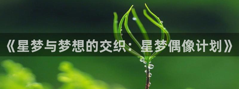扒开动漫狂揉羞羞漫画：《星梦与梦想的交织：星梦偶像计划》