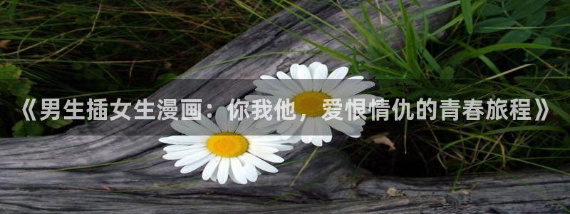 羞羞漫画的网站入口