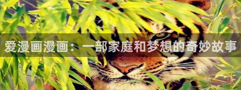 羞羞漫画入口免费观看