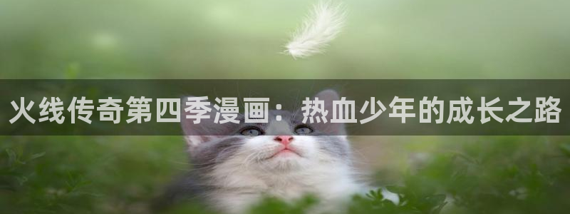 羞羞漫画免费进入观看