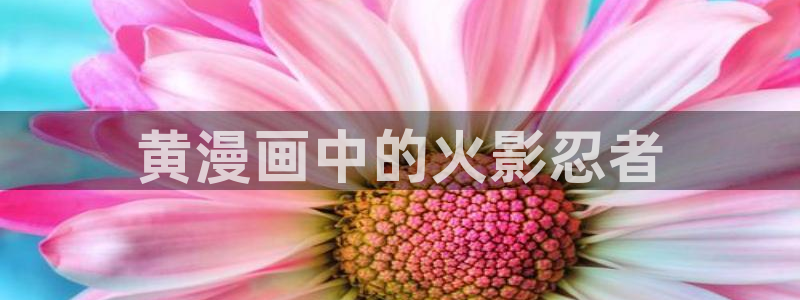 羞羞漫画教练
