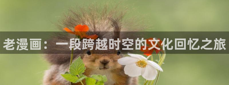 无遮挡羞羞漫画在线观看