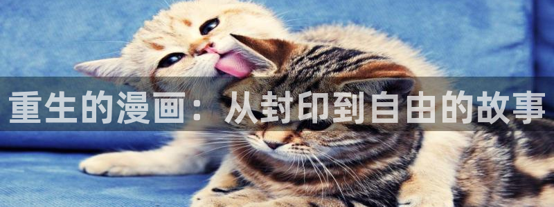 羞羞漫画韩国无遮挡