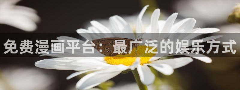 羞羞漫画在线版免费阅读