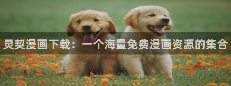 羞羞漫画登录：灵契漫画下载：一个海量免费漫画资源的集合