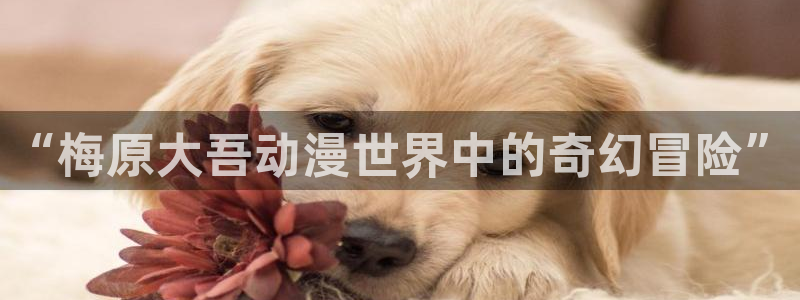 羞羞漫画安全下载