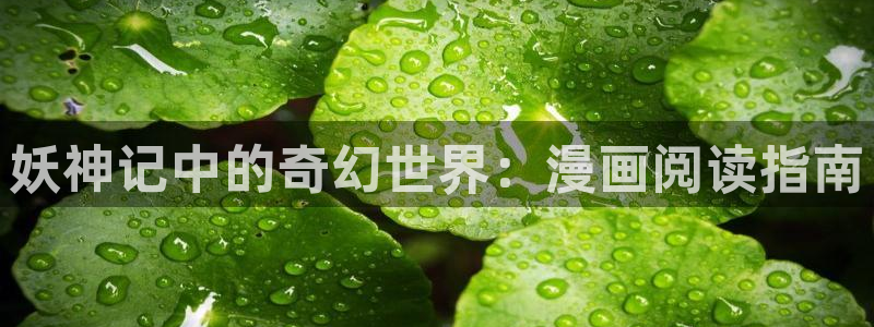 羞羞漫画.sss：妖神记中的奇幻世界：漫画阅读指南